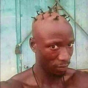 Meet your Posher, Felix